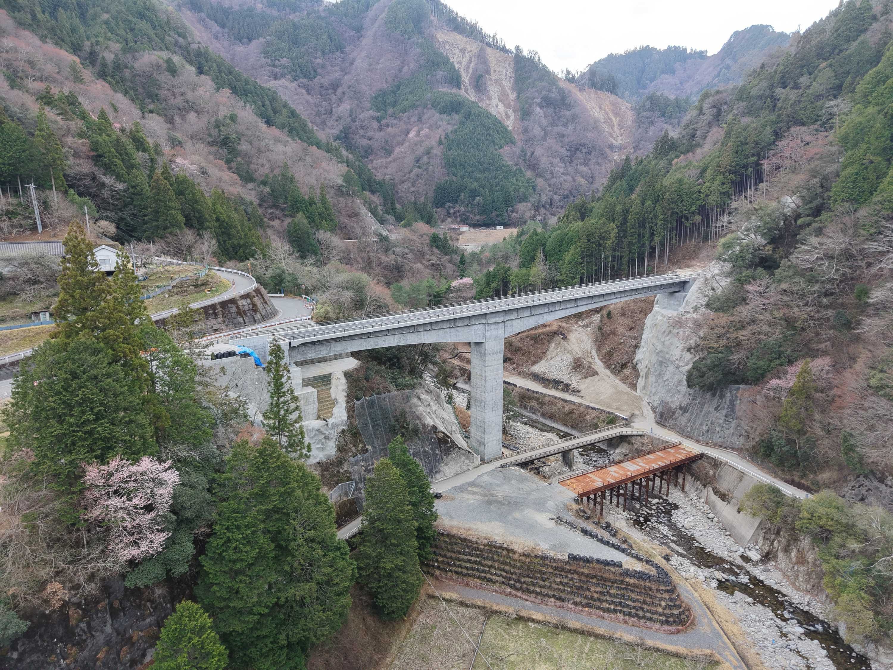 DJI_20260323135253_0001_D.JPG