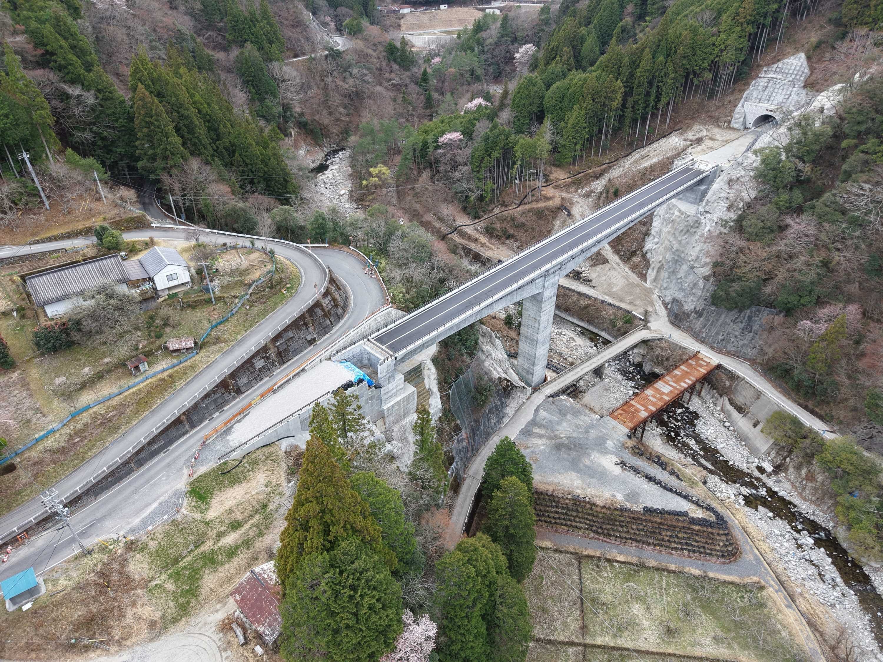 DJI_20260323135331_0005_D.JPG